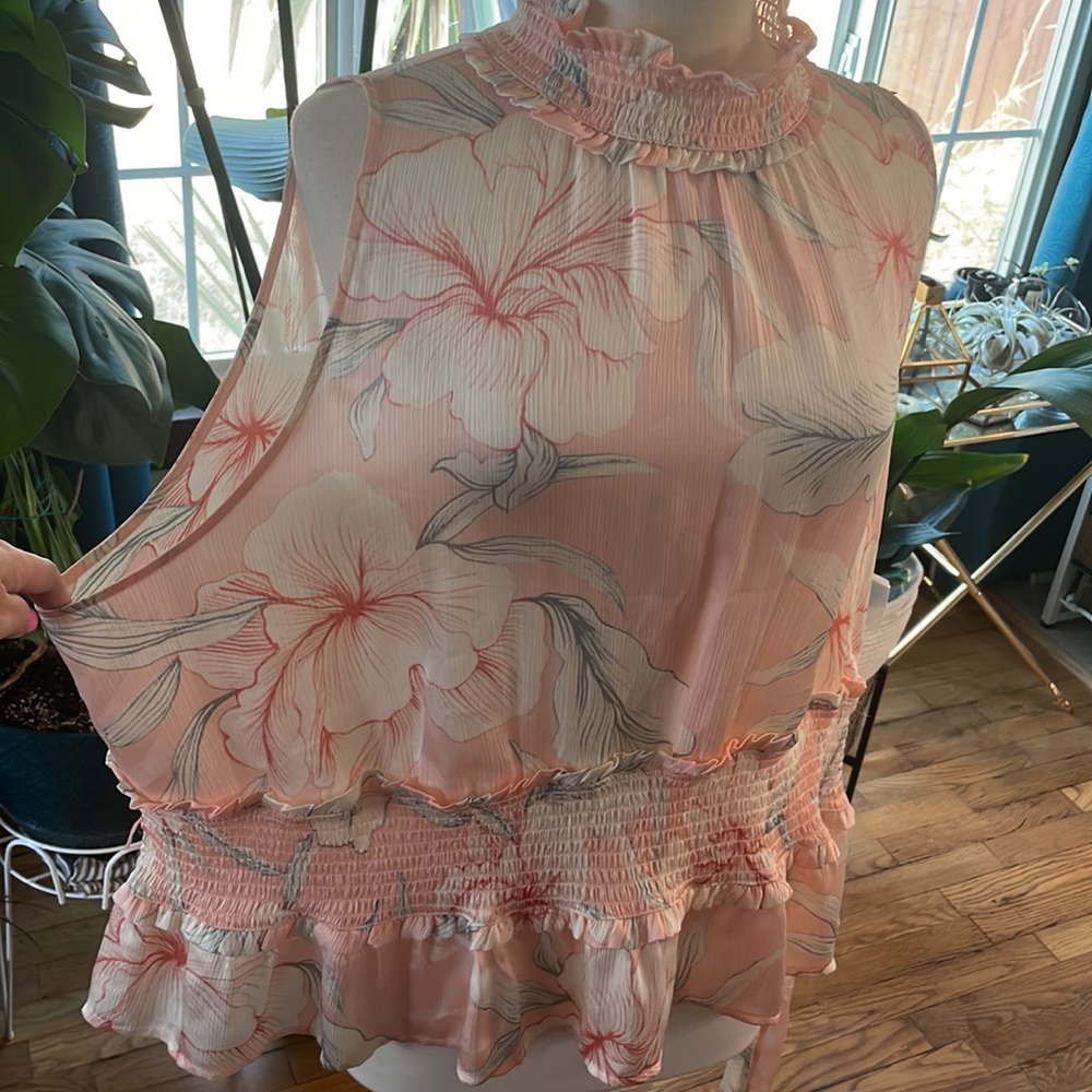 RyeGrass 3XL pink sheer peplum blouse with soft floral print and synch waist - Picture 3 of 13